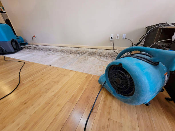 Reliable Basement Flood Cleanup contractor in Brunswick, GA by Hirex Water Damage