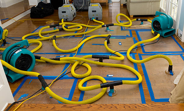 Professional Basement Flood Cleanup technician working in Brunswick, GA
